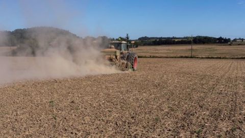 A cause du déficit hydrique, les emblavements de colza ont déjà été réduits en Europe. (©Watier Visuel)