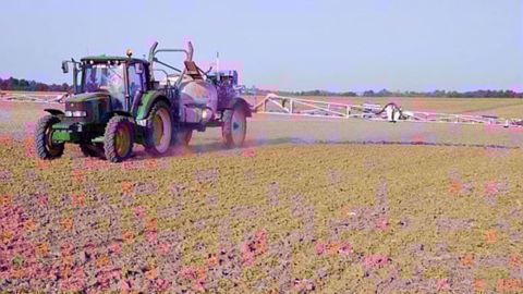 Dans le cadre d'une application de produits à base de prosulfocarbe, l'utilisation d'un dispositif homologué est obligatoire. Pour ceux qui ont des pommiers, légumes, cresson, ... non récoltés sur des parcelles voisines des céréales, l'application doit être, soit retardée après la fin des récoltes, soit substituée par un autre programme herbicide. (©Arvalis-Institu