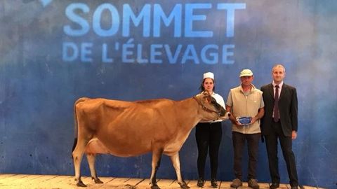 Fauvette remporte le titre de Grande Championne de la race Jersiaise (©<a href="https://www.facebook.com/JersiaiseFrance/" title="Page facebook Jersiaise France" target="_blank">Page facebook de la race jersiaise</a>) Fauvette remporte le titre de Grande Championne de la race Jersiaise (©<a href="https://www.facebook.com/JersiaiseFrance/" title="Page facebook Jersiaise France" target="_blank">Page facebook de la race jersiaise</a>)