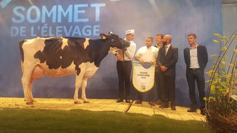 Salinoise Discrete (Terrason x Rubens) du Gaec Dupuis et N Damon est sacrée grande championne Prim'holstein du Sommet de l'élevage 2018 (©Prim'holstein France) Salinoise Discrete (Terrason x Rubens) du Gaec Dupuis et N Damon est sacrée grande championne Prim'holstein du Sommet de l'élevage 2018 (©Prim'holstein France)