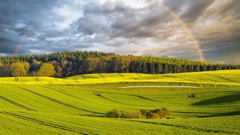 Six leviers d'actions sur l'agriculture ont été identifiés pour faire baisser l'émission de gaz à effet de serre de 15 % dans la région Grand est d'ici 2035. (©Mike Mareen/Fotolia)