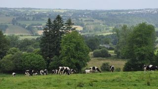 Le programme Carbocage a entrepris de rassembler autour du monde agricole, des collectivités et des entreprises, pour développer des marchés locaux de carbone. (©Terre-net Média) Le programme Carbocage a entrepris de rassembler autour du monde agricole, des collectivités et des entreprises, pour développer des marchés locaux de carbone. (©Terre-net Média)