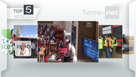 Les articles les plus lus de Terre-Net. (©Terre-net Média)