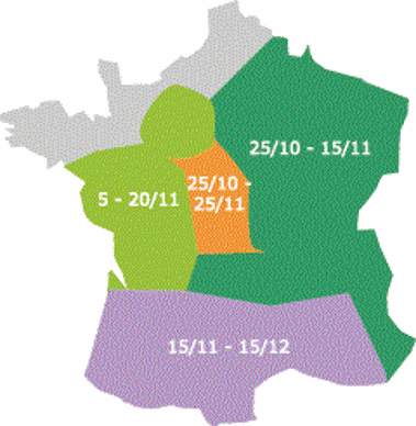Dates de semis conseillées - pois d'hiver
