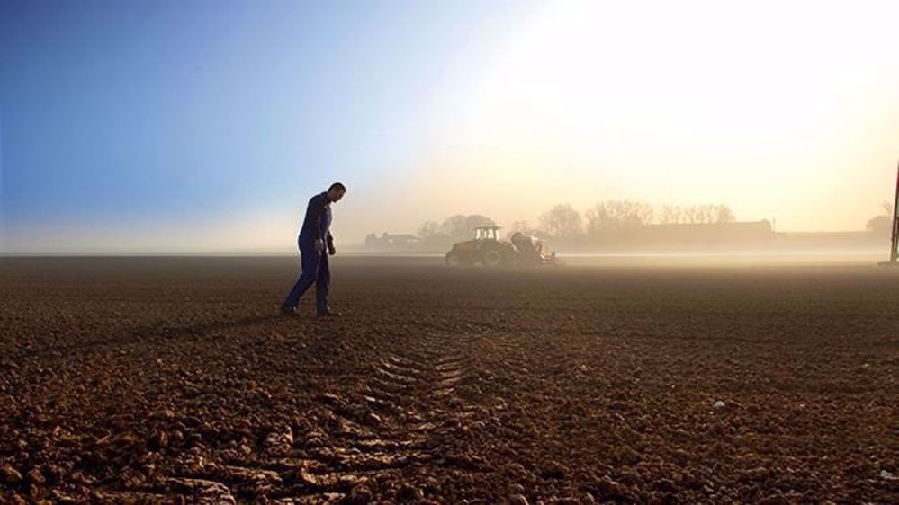 Le suicide chez les agriculteurs, un véritable fléau du monde agricole (©Terre-net Média)