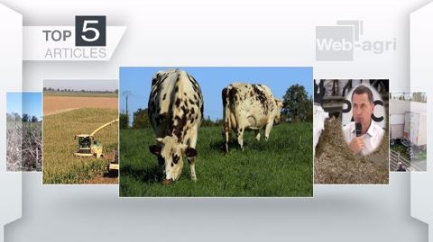 Les articles les plus lus de la semaine sur Web-Agri. (©Terre-net Média) Les articles les plus lus de la semaine sur Web-Agri. (©Terre-net Média)