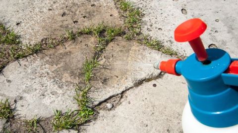 Le glyphosate est utilisé en agriculture, mais également pour l'entretien des parcs et jardins ou des voies de chemin de fer, à des fins de désherbage. (©Damian Gretka, Fotolia)