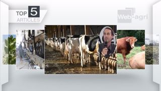 Les articles les plus lus de la semaine sur Web-agri. (©Terre-net Média) Les articles les plus lus de la semaine sur Web-agri. (©Terre-net Média)
