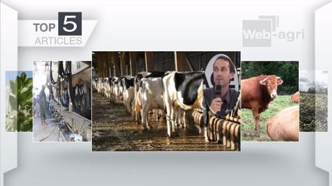 Les articles les plus lus de la semaine sur Web-agri. (©Terre-net Média) Les articles les plus lus de la semaine sur Web-agri. (©Terre-net Média)