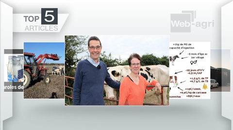 Les articles les plus lus de la semaine sur Web-Agri. (©Terre-net Média) Les articles les plus lus de la semaine sur Web-Agri. (©Terre-net Média)