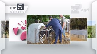 Les articles les plus lus de la semaine sur Web-agri. (©Terre-net Média) Les articles les plus lus de la semaine sur Web-agri. (©Terre-net Média)
