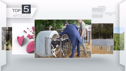 Les articles les plus lus de la semaine sur Web-agri. (©Terre-net Média)