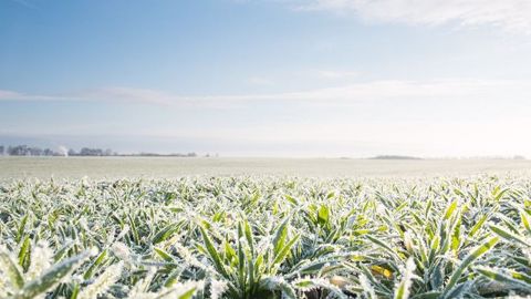 Une baisse sensible des températures est annoncée dès vendredi, notamment dans le Nord-Est. Le phénomène devrait s'amplifier en début de semaine prochaine. (©Fotolia/Syphilon)