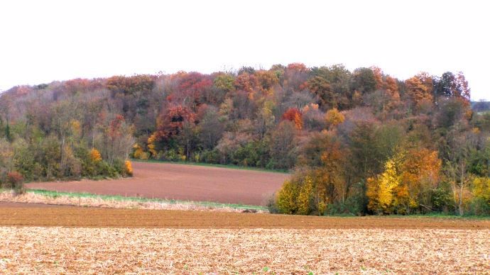 Automne