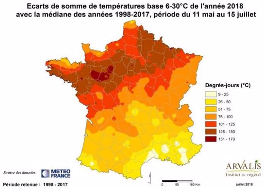 La première partie du cycle du maïs a bénéficié d’un fort excédent de températures sur toute la moitié nord