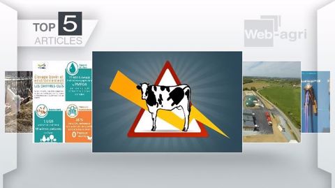 Les articles les plus lus de la semaine sur Web-agri. (©Terre-net Média) Les articles les plus lus de la semaine sur Web-agri. (©Terre-net Média)