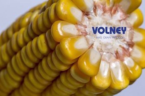 Volney