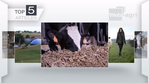 Les articles les plus lus de la semaine sur Web-agri. (©Terre-net Média) Les articles les plus lus de la semaine sur Web-agri. (©Terre-net Média)