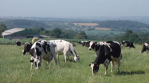 L'objectif de l'étude du Civam, répondre à la question : « Par qui les élevages laitiers spécialisés du Grand Ouest pourront-ils être repris si l'on veut <strong>conserver l'atelier lait</strong> » et avec quelles perspectives économiques ? » (©Terre-net Média)