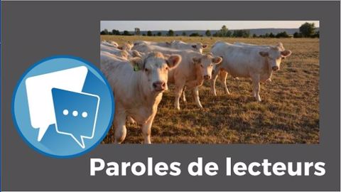 « On va manquer de fourrages cet hiver et il faudra en acheter à un prix exorbitant », déplore Steph72. (©Terre-net Média) « On va manquer de fourrages cet hiver et il faudra en acheter à un prix exorbitant », déplore Steph72. (©Terre-net Média)
