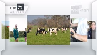 Les articles les plus lus de la semaine sur Web-agri. (©Terre-net Média) Les articles les plus lus de la semaine sur Web-agri. (©Terre-net Média)