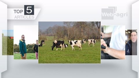 Les articles les plus lus de la semaine sur Web-agri. (©Terre-net Média) Les articles les plus lus de la semaine sur Web-agri. (©Terre-net Média)