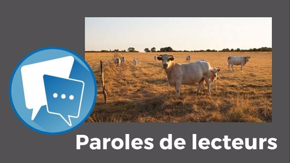  « Mon analyse du changement climatique : moins de temps passé en stabulation mais pas à l'auge... », met en garde Titian. (©Thierry Ryo, Fotolia // Création Terre-net Média)