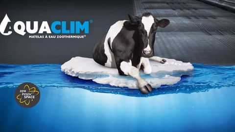 Dans les bâtiments nos vaches ont trop chaud ! Dans les bâtiments nos vaches ont trop chaud !