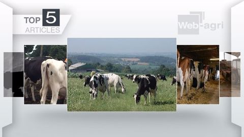 Les articles les plus lus de la semaine sur Web-agri. (©Terre-net Média) Les articles les plus lus de la semaine sur Web-agri. (©Terre-net Média)