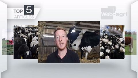 Les plus articles les plus lus cette semaine sur Web-agri. (©Terre-net Média)