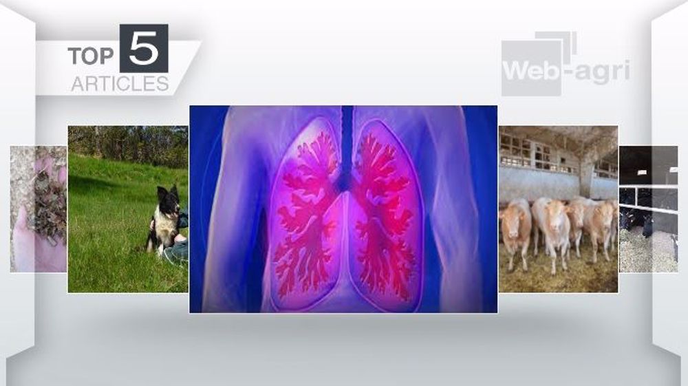 Les articles les plus lus de la semaine sur Web-agri. (©Terre-net Média) Les articles les plus lus de la semaine sur Web-agri. (©Terre-net Média)