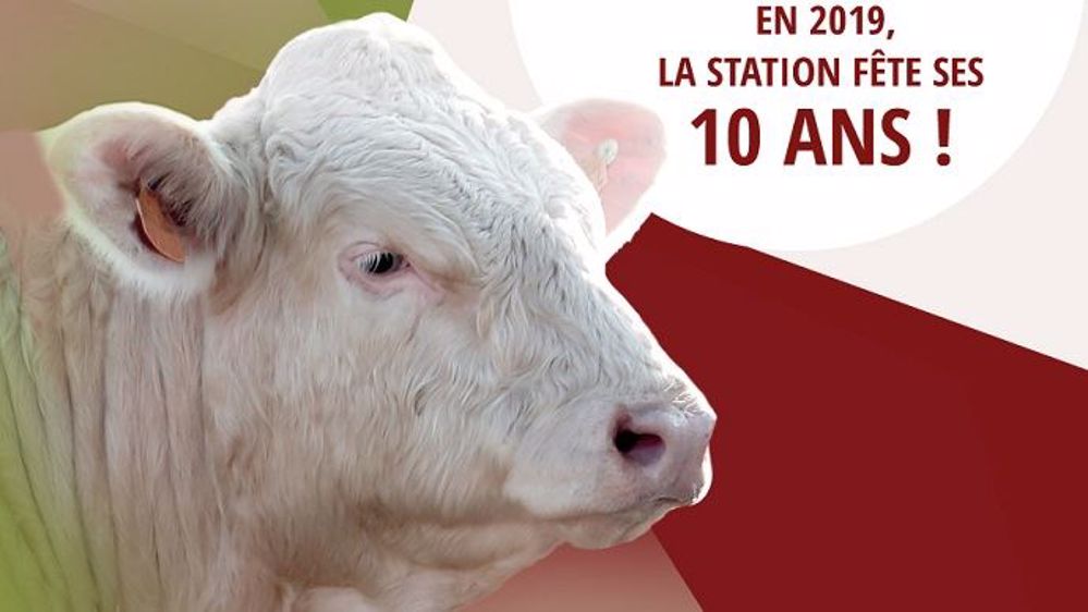 La station d'évaluation du Marault (Nièvre) ouvrira ses portes le 24 janvier pour fêter ses 10 ans à l'occasion de la vente aux enchères de reproducteurs. (©Herd book Charolais)