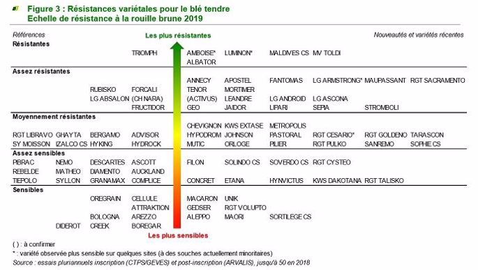 Résistances variétales à la rouille brune pour le blé tendre - 2019. 