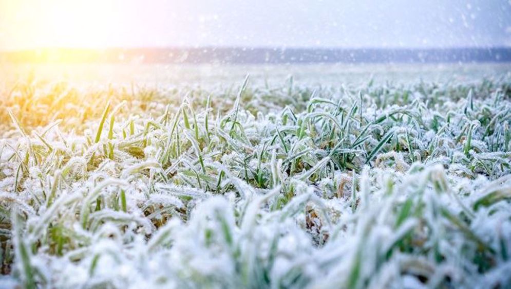 Que nous réserve la météo pour les mois de février et mars 2019 ? (©Fotolia/Nordoden)