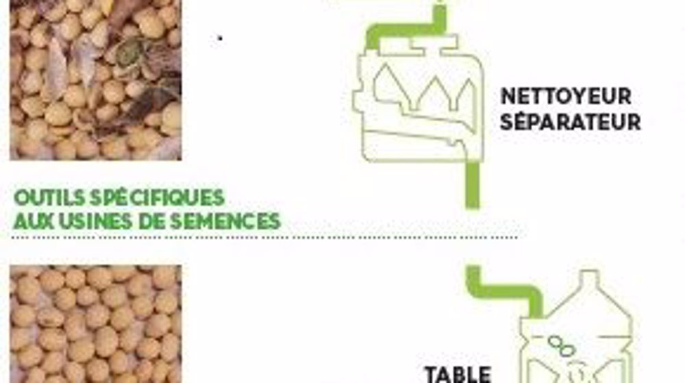 Parcours des graines brutes aux semences certifiées. <span class="FicheBold">Cliquez sur l'image pour l'agrandir.