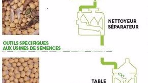 Parcours des graines brutes aux semences certifiées. <span class="FicheBold">Cliquez sur l'image pour l'agrandir.