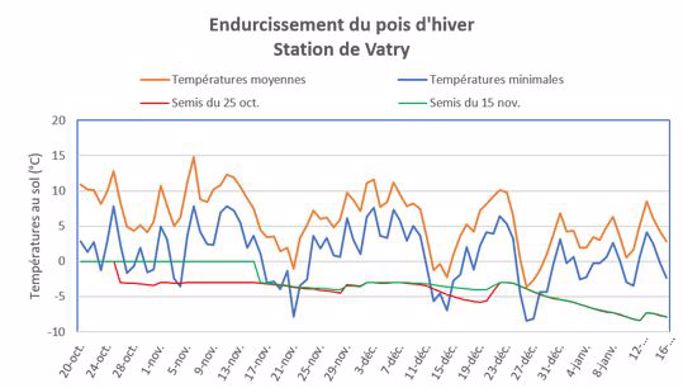 Endurcissement du pois d'hiver - Vatry