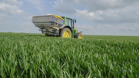 Arvalis fait le point sur les besoins en azote des céréales à paille. (©Arvalis-Institut du végétal)