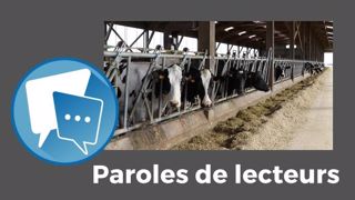 « Quel que soit le système choisi par l'éleveur − herbe, maïs, bio, pâture, etc. −, il faut apporter une ration équilibrée et de qualité aux animaux », fait remarquer avec bon sens Changement. (©Terre-net Média) « Quel que soit le système choisi par l'éleveur − herbe, maïs, bio, pâture, etc. −, il faut apporter une ration équilibrée et de qualité aux animaux », fait remarquer avec bon sens Changement. (©Terre-net Média)