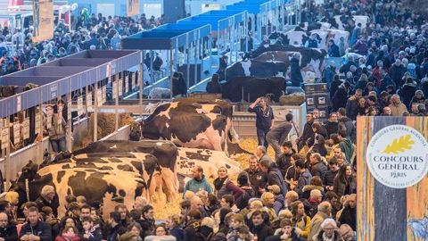 Retrouvez les palmarès et les replays des concours bovins Retrouvez les palmarès et les replays des concours bovins