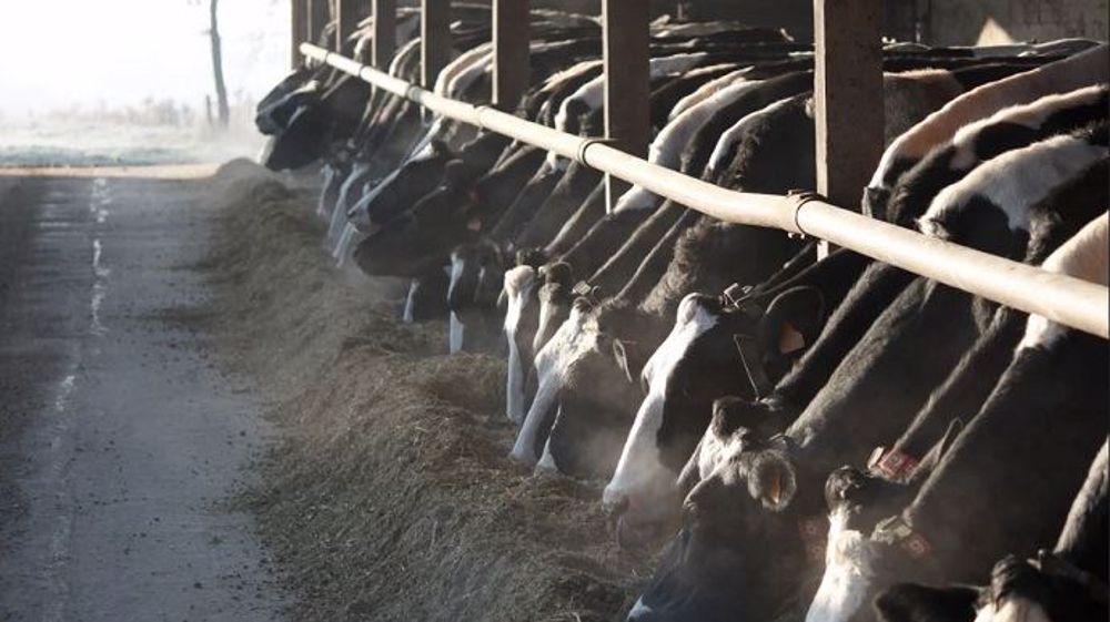 Les adhérents des OP France Milkboard se réunissent en assemblée générales les mercredi 13 (FMB Grand Ouest) et 14 février (FMB Normandie). (©@agrikol)