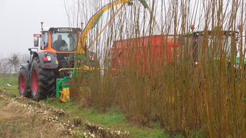 Les bandes ligno-cellulosiques concilient protection de la ressource en eau et production durable de biomasse. (©<a href="https://www.facebook.com/Phitech.biomasse.be/?fref=mentions" title="Phitech" target="_blank">Phitech</a>) Les bandes ligno-cellulosiques concilient protection de la ressource en eau et production durable de biomasse. (©<a href="https://www.facebook.com/Phitech.biomasse.be/?fref=mentions" title="Phitech" target="_blank">Phitech</a>)