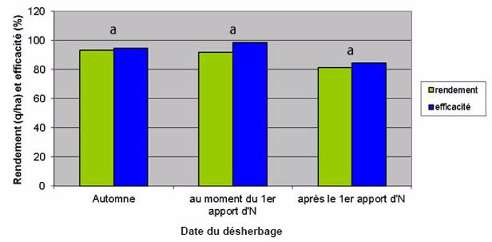  Effet du positionnement des herbicides, par rapport au premier apport azoté, sur le rendement et l'efficacité sur ray-grass 