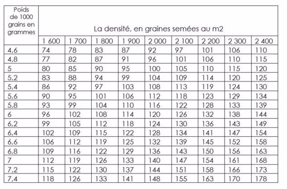 Convertir la dose de semis en kg à l'ha