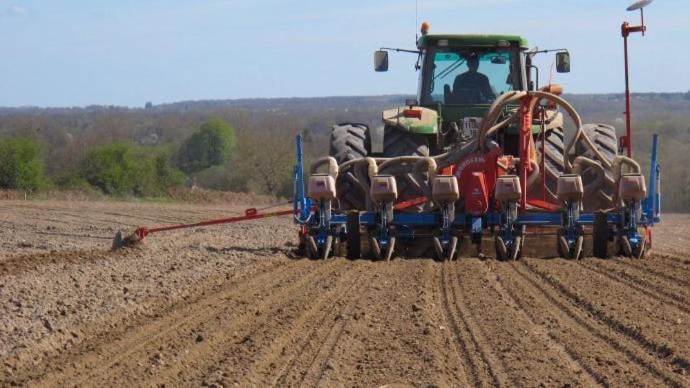 Pluie ou soleil pour les semis de printemps 2019 ?  (©Terre-net Média)