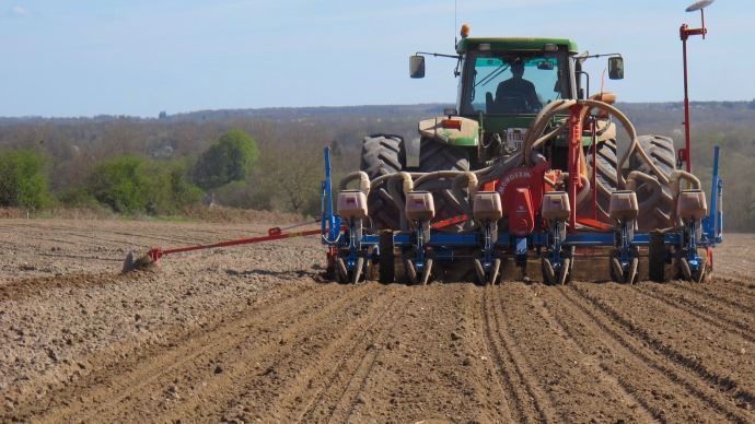 Semis de printemps