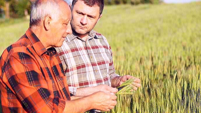 jeune agriculteur avec un plus vieux paysan