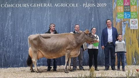 Garconne en haut du podium du concours de la race jersiaise au Salon de l'agriculture. (©<a href="https://www.facebook.com/JersiaiseFrance/" title="Page facebook Jersiaise France" target="_blank">Jersiaise France - Page Facebook</a>) Garconne en haut du podium du concours de la race jersiaise au Salon de l'agriculture. (©<a href="https://www.facebook.com/JersiaiseFrance/" title="Page facebook Jersiaise France" target="_blank">Jersiaise France - Page Facebook</a>)