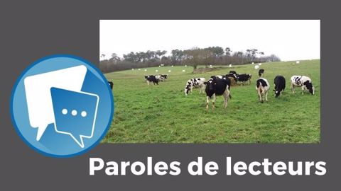 « Le bale grazing est très bien en théorie. En pratique, c'est une autre histoire », pense Kami. (©Pâturesens // Création Terre-net Média) « Le bale grazing est très bien en théorie. En pratique, c'est une autre histoire », pense Kami. (©Pâturesens // Création Terre-net Média)