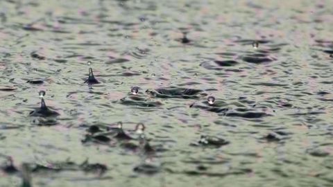 En Europe, les pluies continuent de nourrir les sols. (©Pixabay)